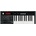 KORG HI KORG Micro-X