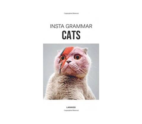 Insta Grammar: Cats