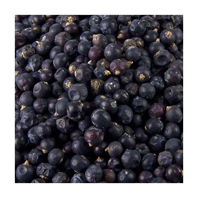 World Herbs Jalovec černý celý 1 kg