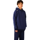 CCM Team Pullover Hoodie YTH