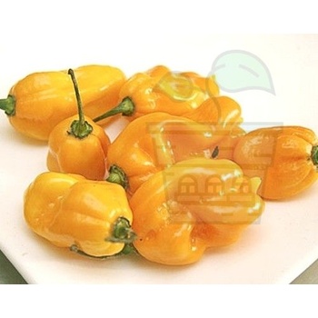 Семена от люти чушки сорт Мадам Жанет (Madame Jeanette) 15 бр (208400)