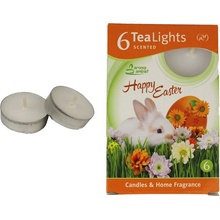 Morex HAPPY EASTER BUNNY 6ks