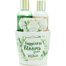 SK S & G Spa Happiness Blooms from Within telové mydlo 100 ml + telové mlieko 100 ml + kúpeľové kryštáliky 50 g darčeková sada v kvetináči