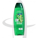 Chopa šampon Bříza 500 ml