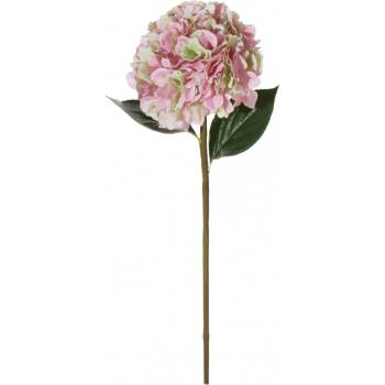 SHISHI Růžová hortenzie 90 cm