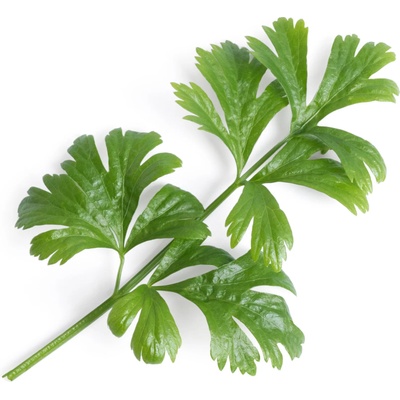 VÉritable (Франция) Пълнител (лингот) Celery за настолна градина Véritable® - листа целина (VLIN-J10-Cel02D)
