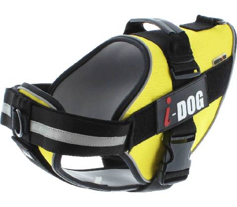 iDOG postroj NeoCITY