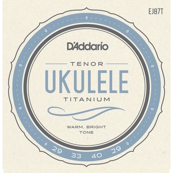 D'Addario EJ87T