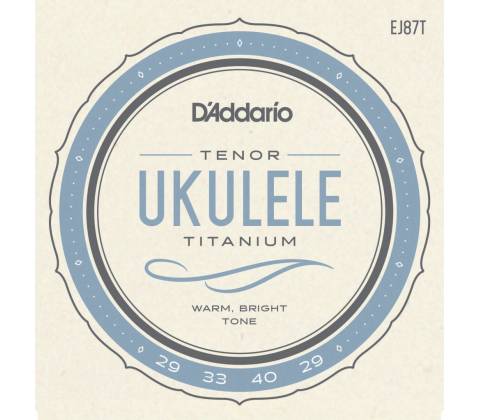 D'Addario EJ87T