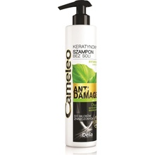 Cameleo, Anti Damage keratinový Shampoo bez soli pro poškozené vlasy 250 ml