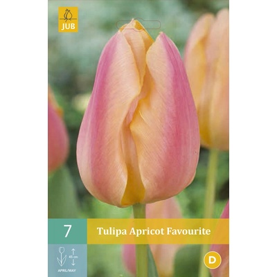 JUB Tulipán Apricot Favourite