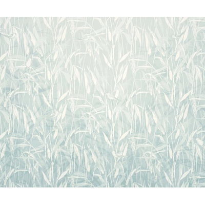 Komar Vliesová fototapeta Reed rozměry 300 x 250 cm