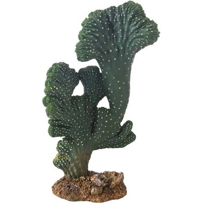 Hobby Kaktus Victoria 2 22 cm