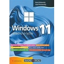 Windows 11
