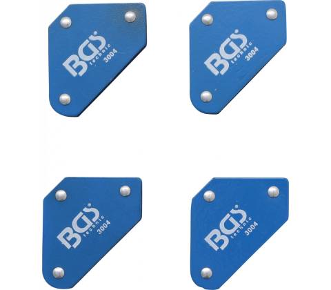 BGS 3004