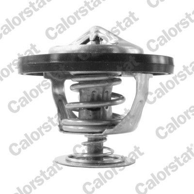 Termostat, chladivo CALORSTAT BY VERNET TH7217.95J