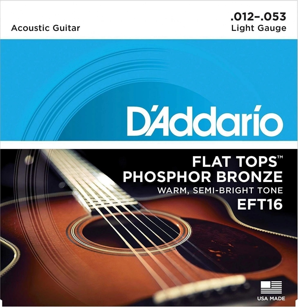 D'addario EFT16