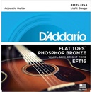 D'addario EFT16