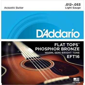 D'addario EFT16