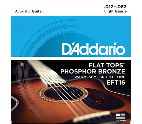 D'addario EFT16