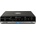 Ampeg Venture V12