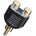 Bespeco AD150