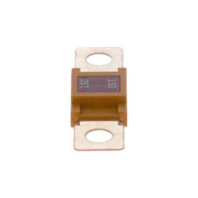 Pojistka BOSCH 1 987 531 002 (1987531002)