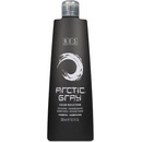 Bes Color Reflection Shampoo Artic Grey 300 ml