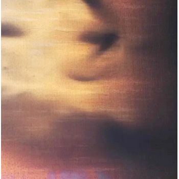 New Order - State Of The Nation (LP) (5021732241610)