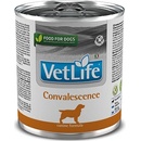 Krmivo pre psov Vet Life dog Convalescence 300 g