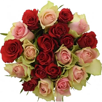 Kytice 21 míchaných růží ROSEBELLINE 70cm