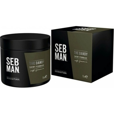 Sebastian Seb Man The Dandy Pomade s lehkou fixací 75 ml