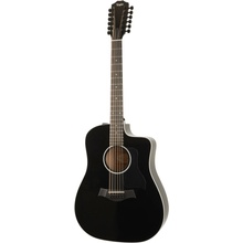 Taylor 250ce