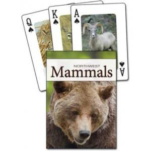 Adventurekeen Mammals of the Northwest Playing Cards | Stan Tekiela