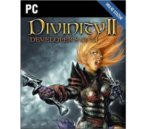 Divinity 2 (The Developer’s Cut)