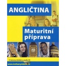 Učebnice Angličtina - Maturitní příprava - Langerová Ivana