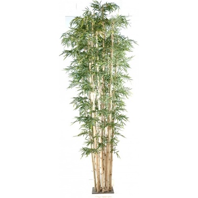 BAMBUS NEW GEANT, 380cm