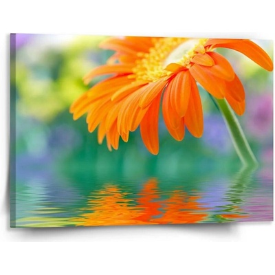 Sablio Obraz Oranžová gerbera - 150x110 cm