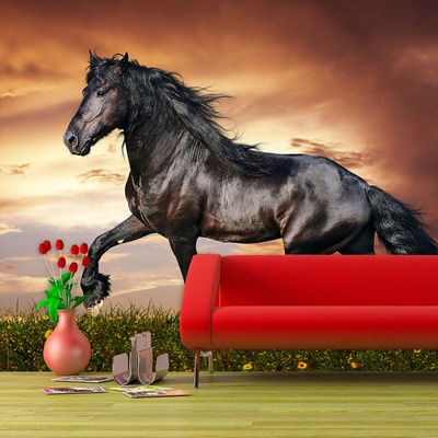 Tapeta SABLIO Friský kůň rozměry 125x75 cm