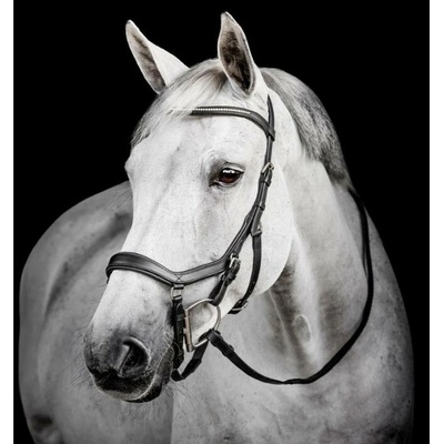 Horseware Micklem 2 Diamante Competition černá