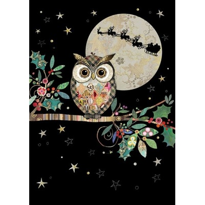 Luxusní přání MC049 BUG ART - CHRISTMAS OWL