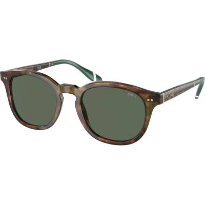 Ralph Lauren PH4206 501771 (PH4206 501771)
