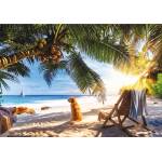 Trefl - Puzzle Premium plus: Relaxing on the beach, Seychelles - 1 000 piese