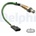 Lambda sonda DELPHI ES21250-12B1