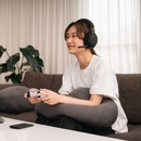 Final Audio VR3000 EX