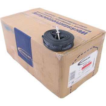 Schwalbe SV