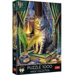 Trefl Puzzle 1000 Book of Shadows TREFL
