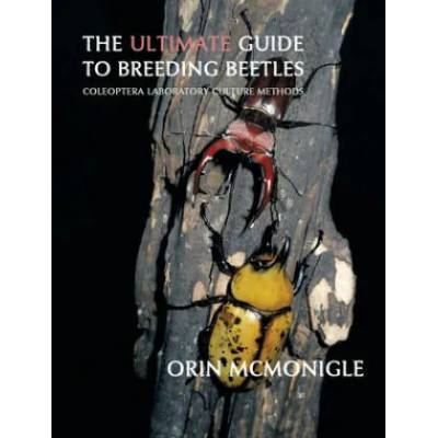 Ultimate Guide to Breeding Beetles