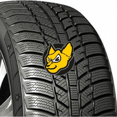Evergreen EW62 185/60 R14 81T