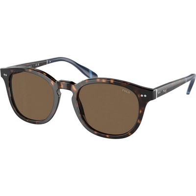 Polo Ralph Lauren PH4206 500373